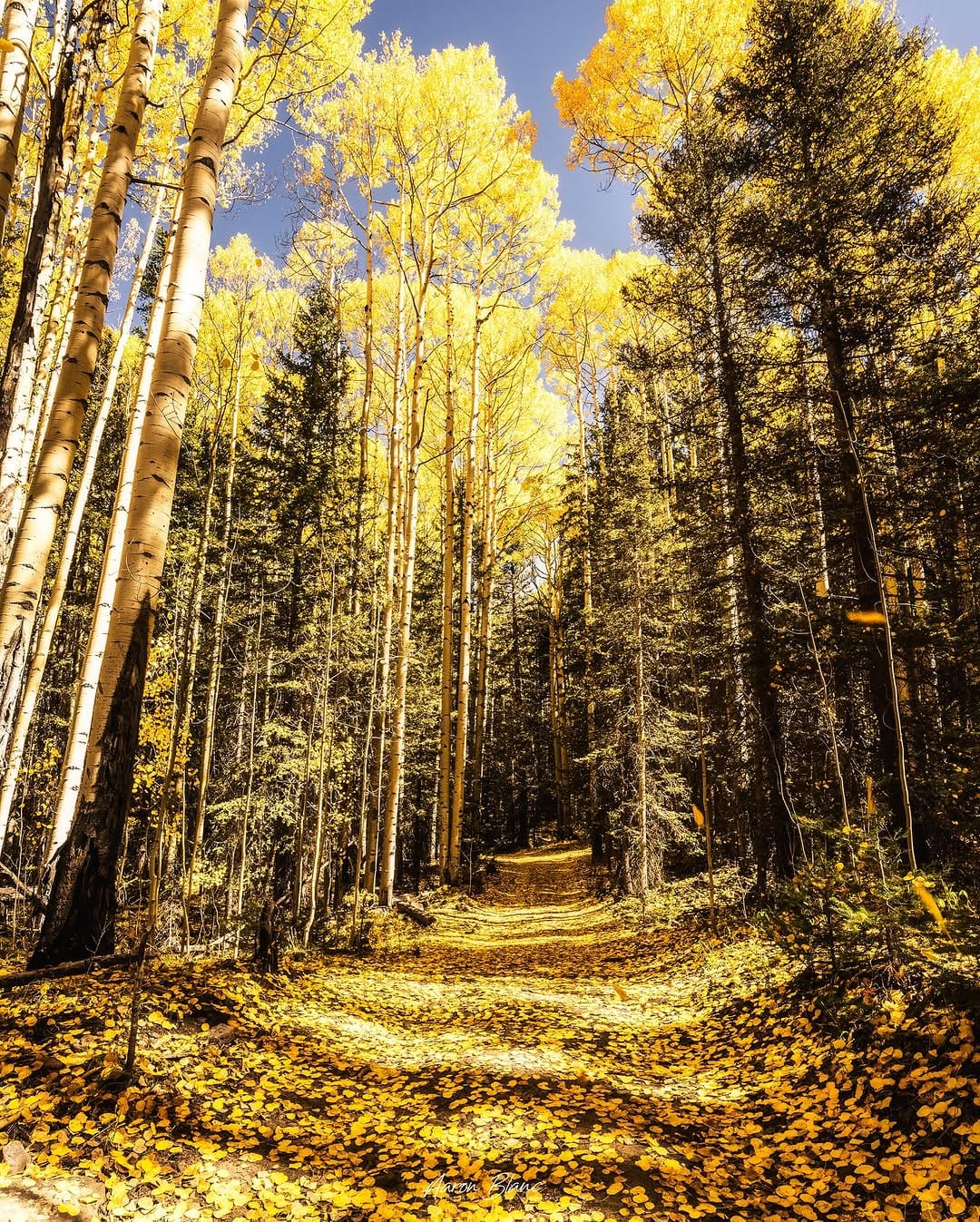 Post 4 by Aaron B. || Travel & Landscape on Instagram (image)