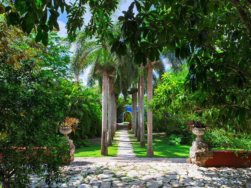 Post 7 by Yucatán Travel on Instagram (image)