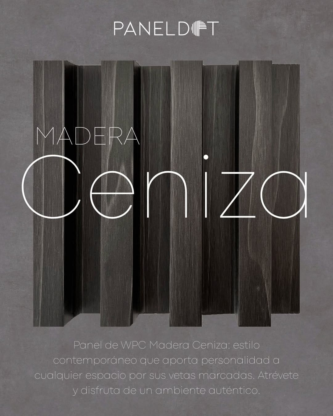 Post 1 by Paneldot MX on Instagram (image)