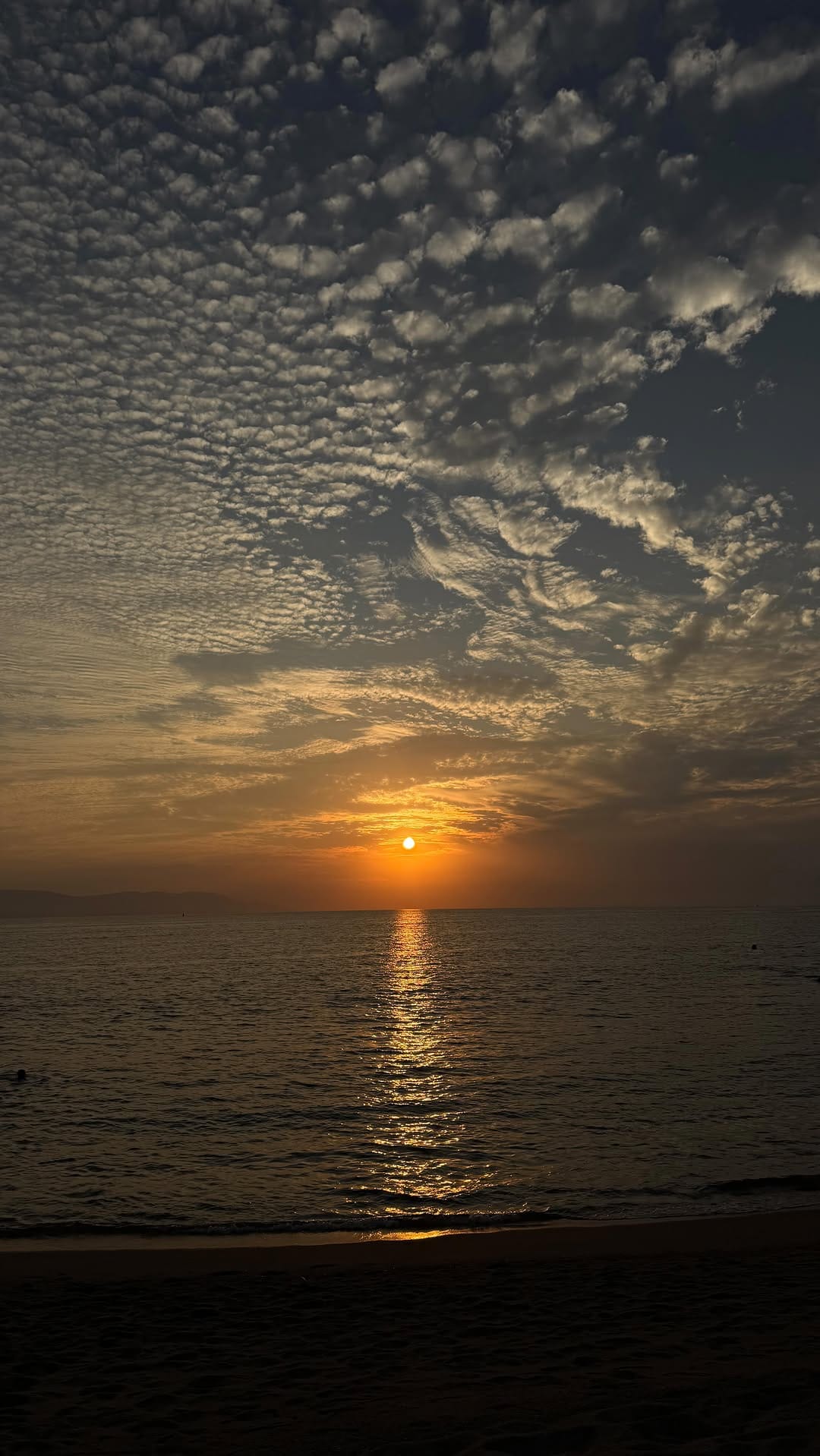 Post 6 by A N D R E A  M O R E N O on Instagram (video)