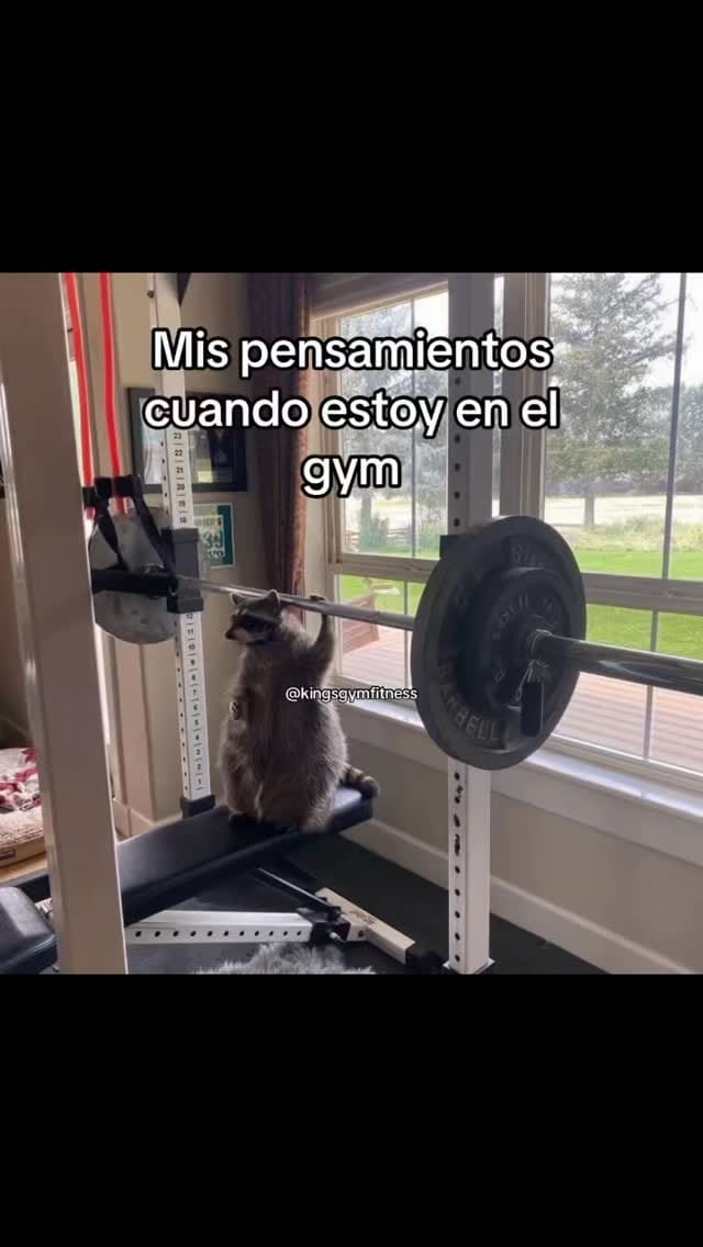Post 3 by King’s Gym Fitness Center on Instagram (video)