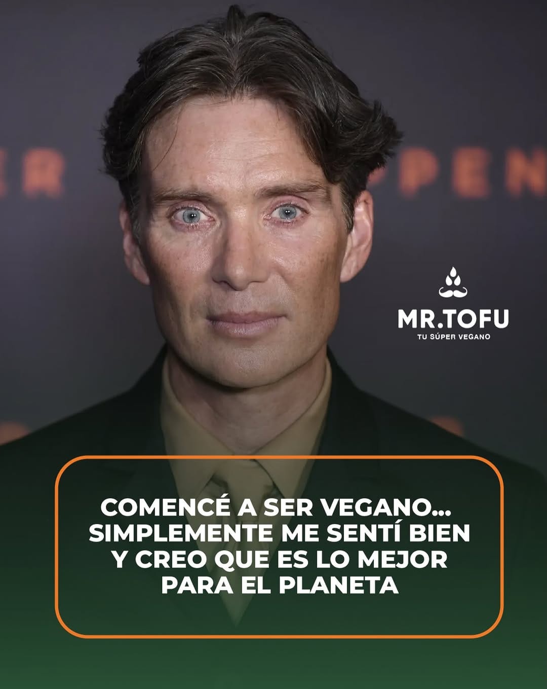 Post 4 by Mr. Tofu México Tienda Vegana on Instagram (image)