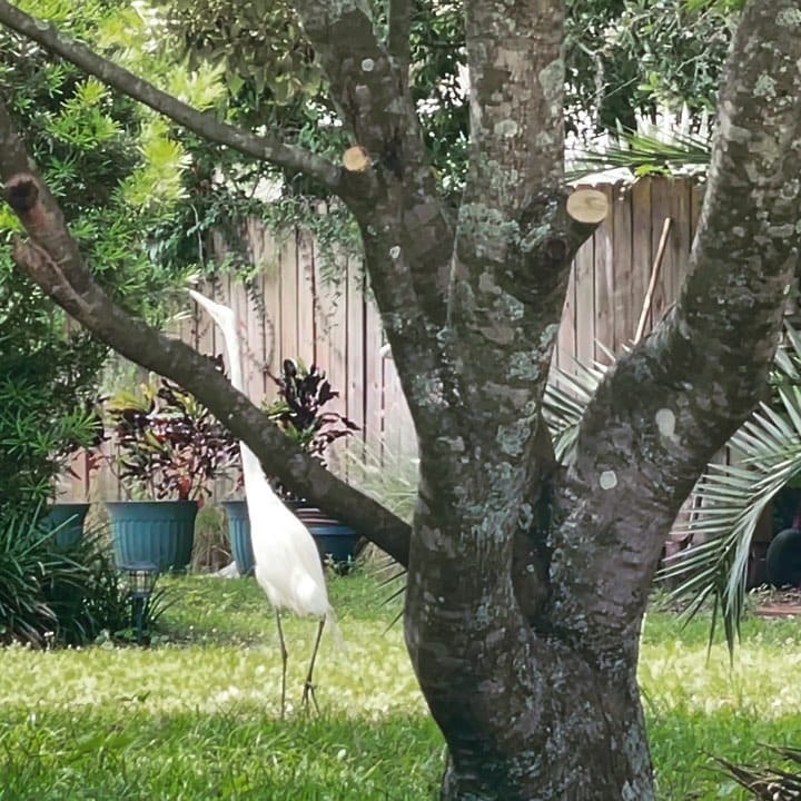 Post 6 by Diane P Leone Travel Writer on Instagram (video)