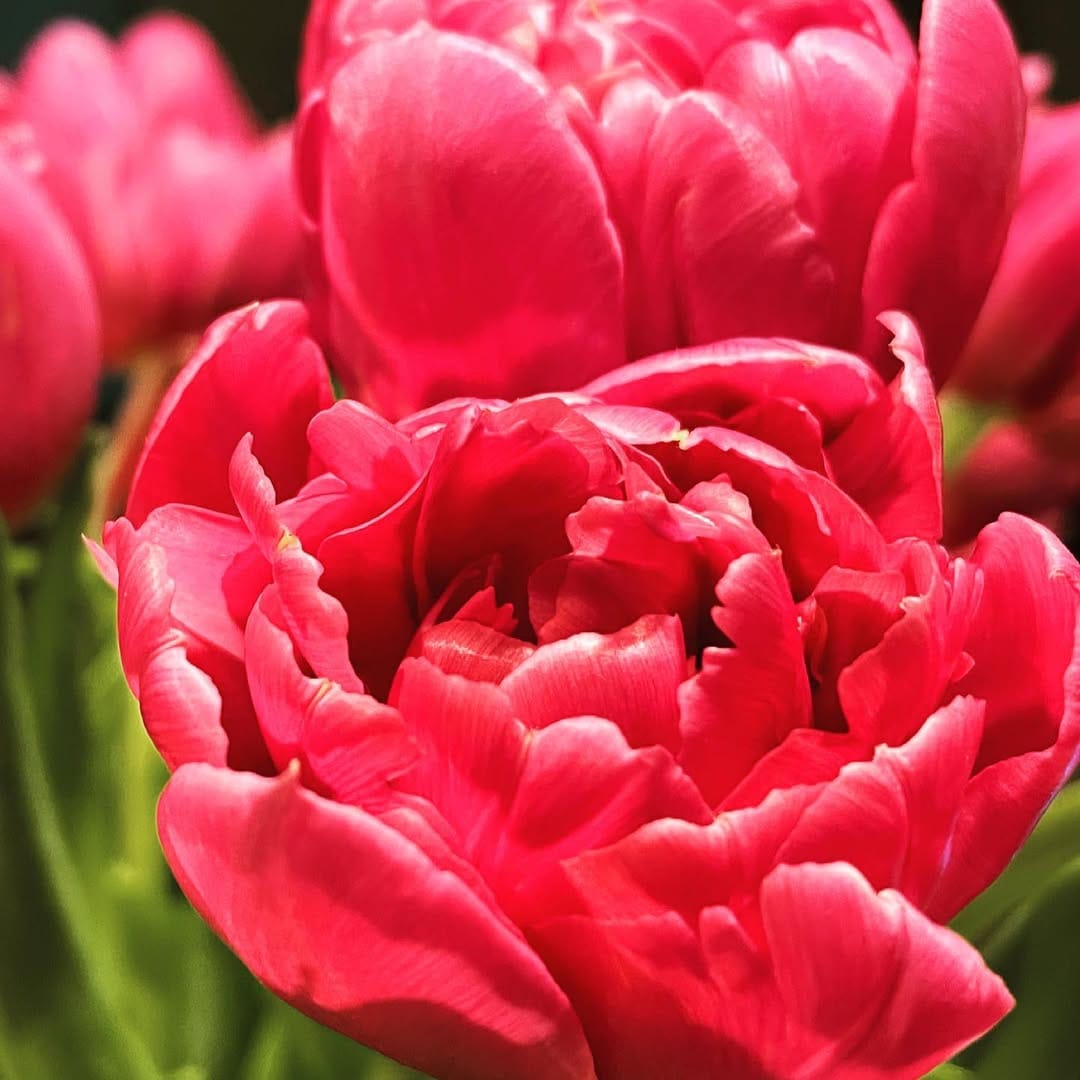 Post 9 by Diane P Leone Travel Writer on Instagram (image)
