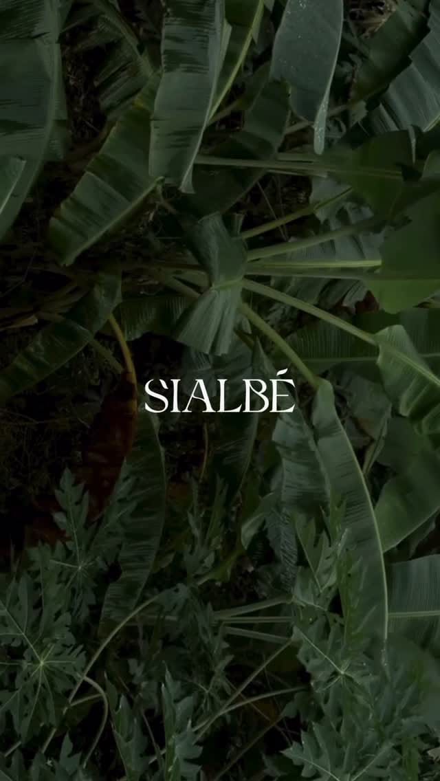 Post 7 by SIALBÉ SKINCARE on Instagram (video)