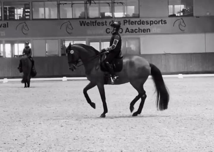 Post 8 by Diana Al Shaer on Instagram (video)