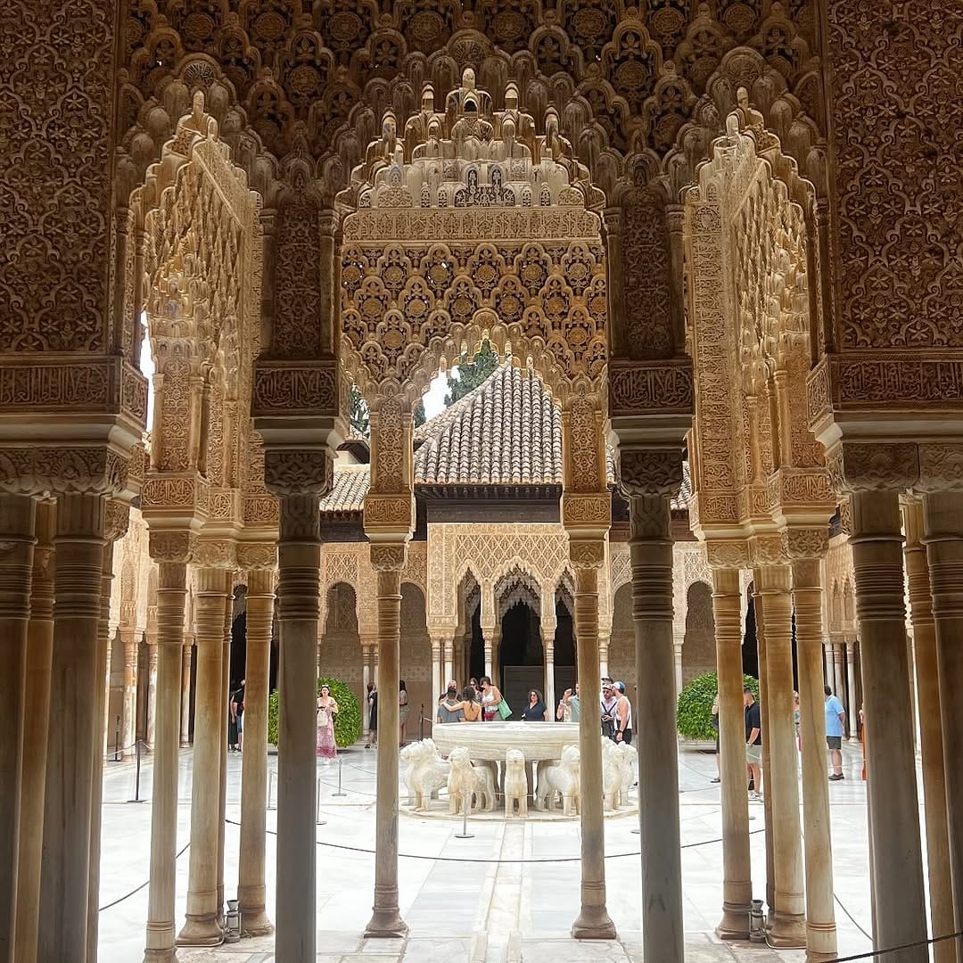 Post 5 by Diana Al Shaer on Instagram (carousel)
