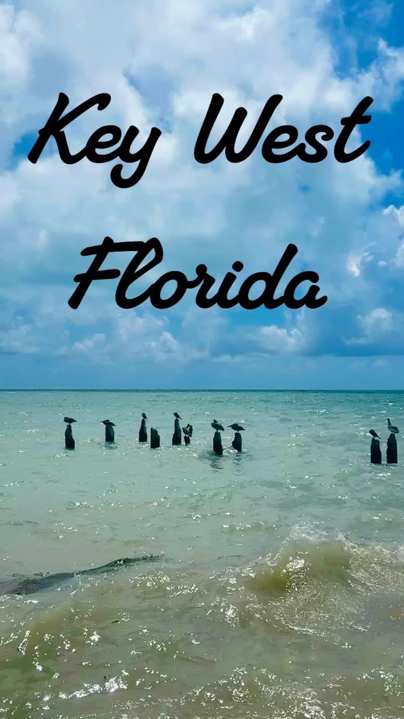 Post 10 by Carrie Barker-Settles on Instagram (video)