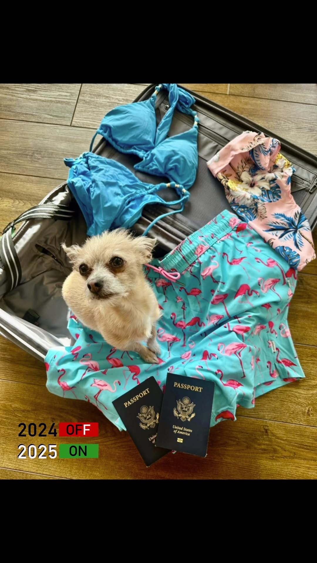 Post 5 by Carrie Barker-Settles on Instagram (video)