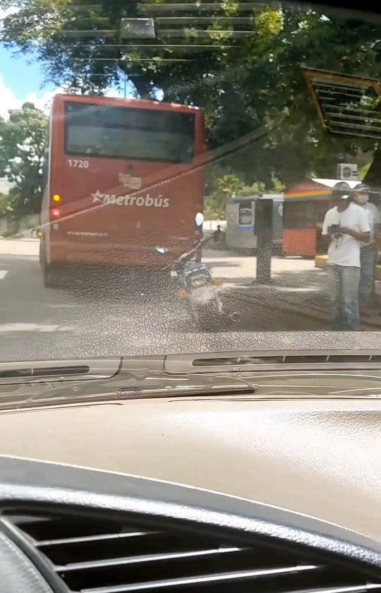 Post 10 by bodegapalacios.2010 on Instagram (video)
