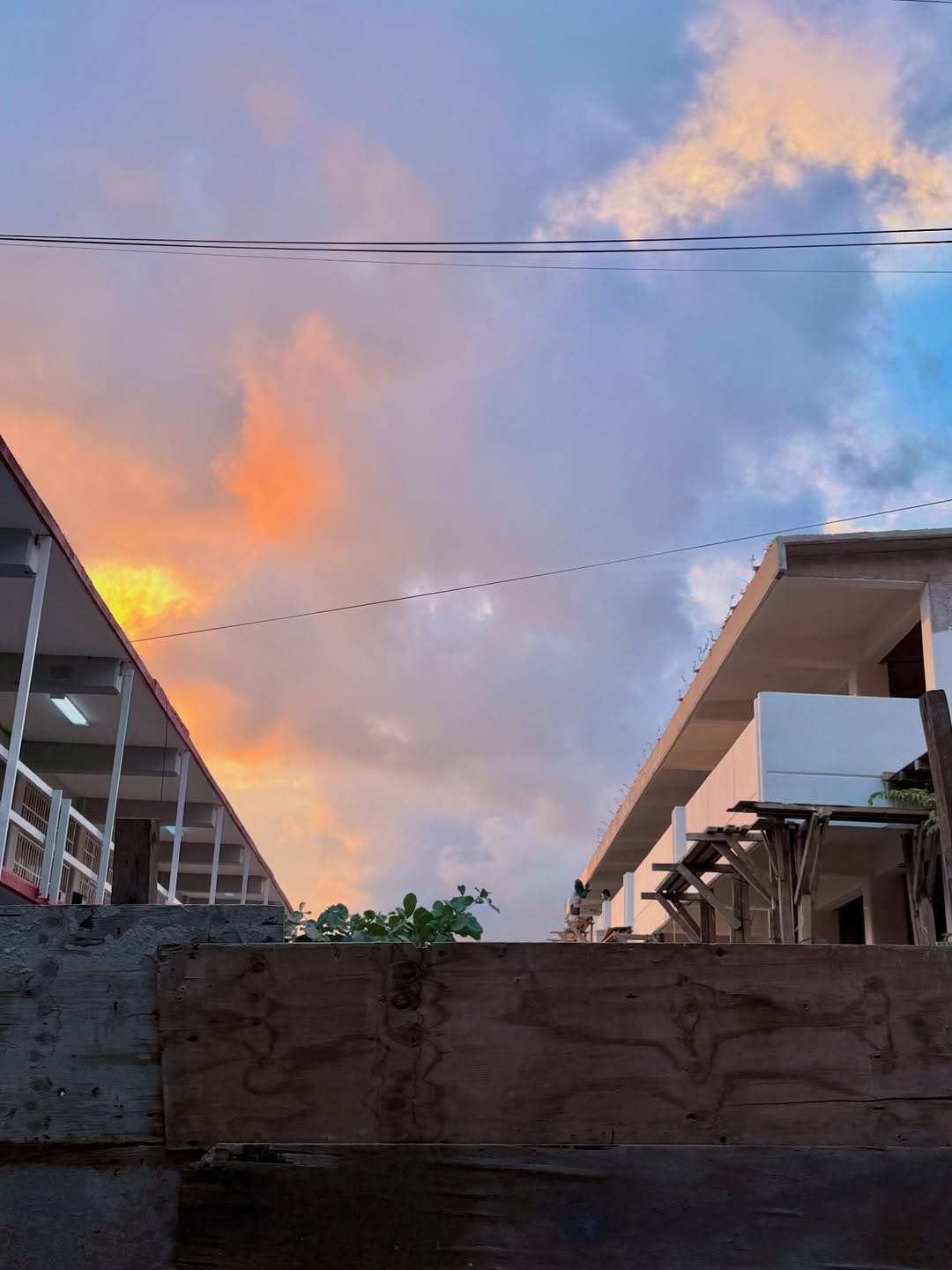 Post 1 by O S C A R    𝗟 𝗢 𝗭 𝗔 𝗡 𝗢 on Instagram (image)