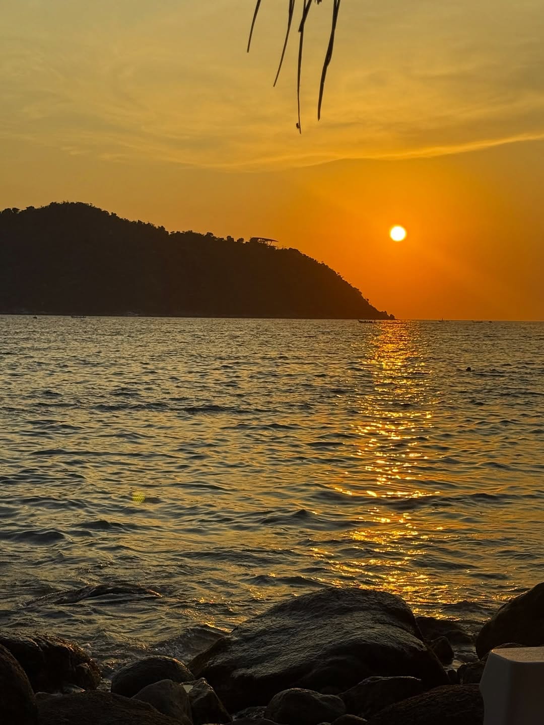 Post 4 by O S C A R    𝗟 𝗢 𝗭 𝗔 𝗡 𝗢 on Instagram (image)