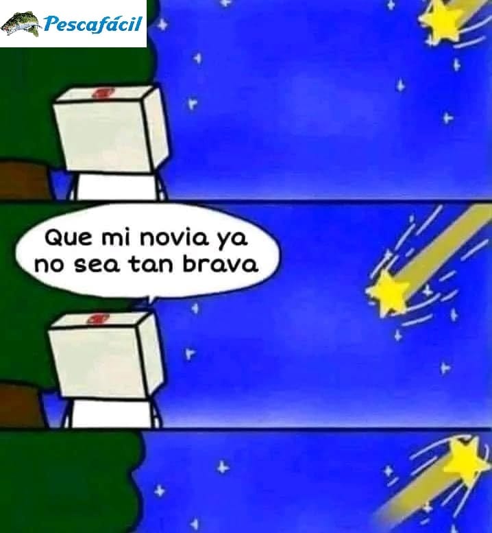 Post 9 by Pesca  Facil on Instagram (image)