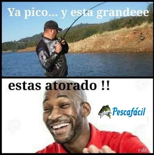 Post 8 by Pesca  Facil on Instagram (image)