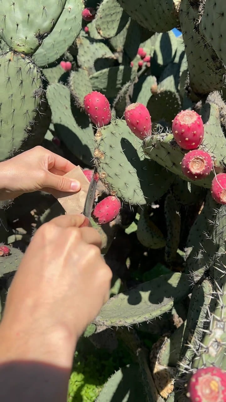 Post 9 by Verena Bonath on Instagram (video)