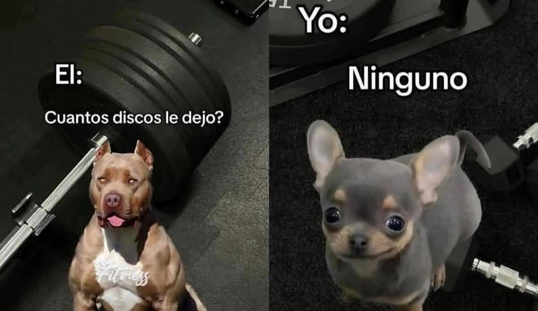 Post 9 by Fitness Market | Tienda de Suplementos on Instagram (image)