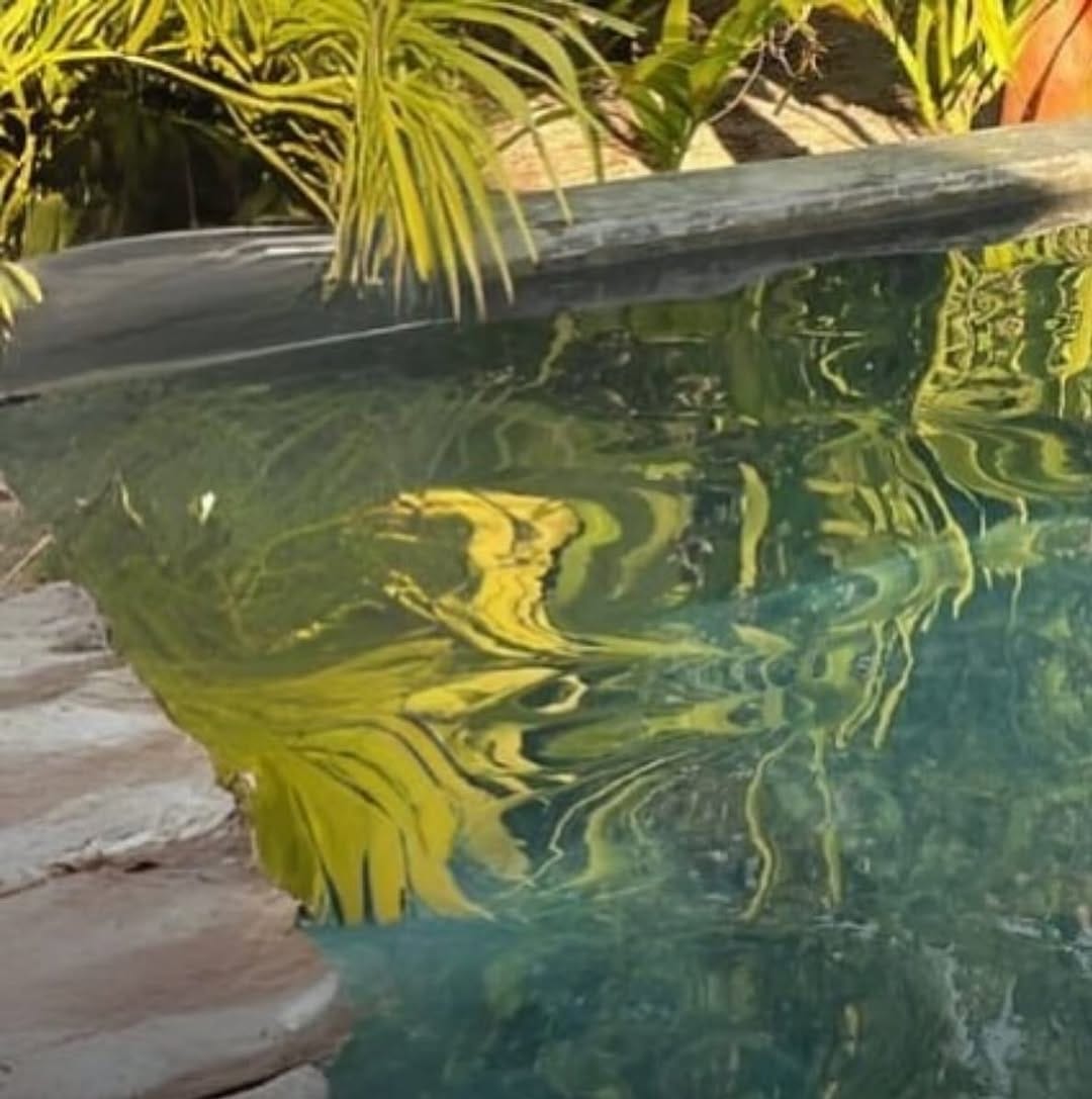 Post 6 by MIKINI swimwear Puebla ® on Instagram (image)
