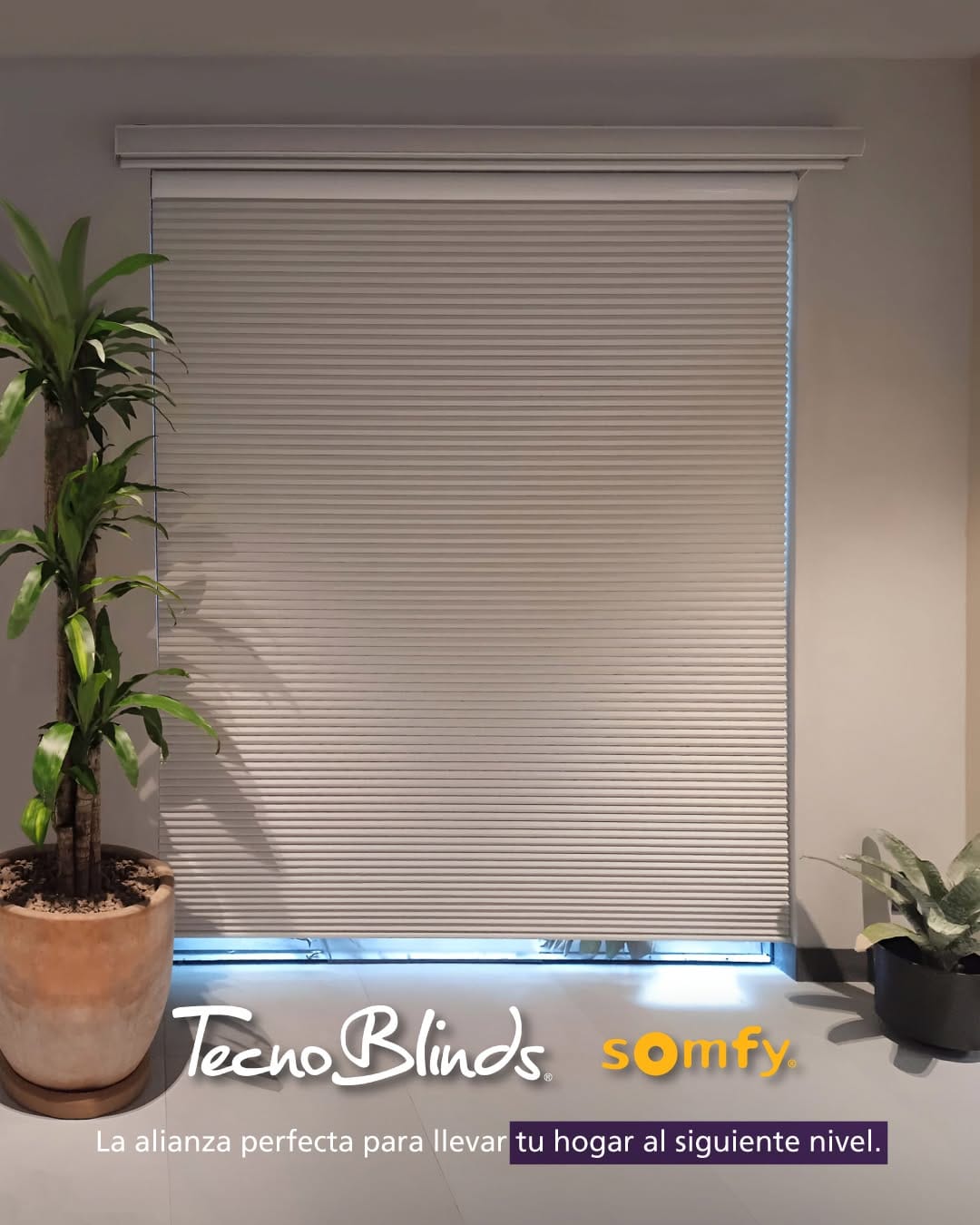 Post 5 by Tecno Blinds on Instagram (image)
