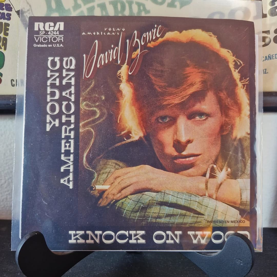 Post 5 by Chez Nobody Records on Instagram (image)