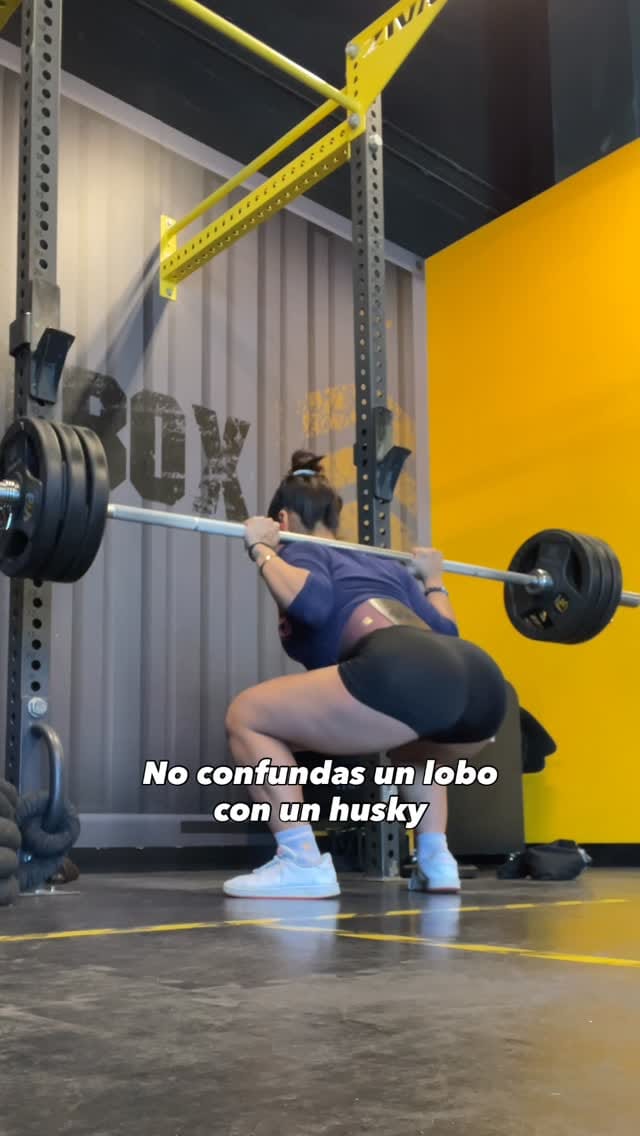 Post 4 by Ale Camacho on Instagram (video)