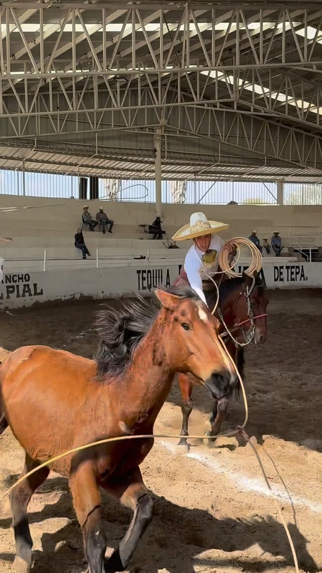 Post 5 by Jorge Zamora on Instagram (video)