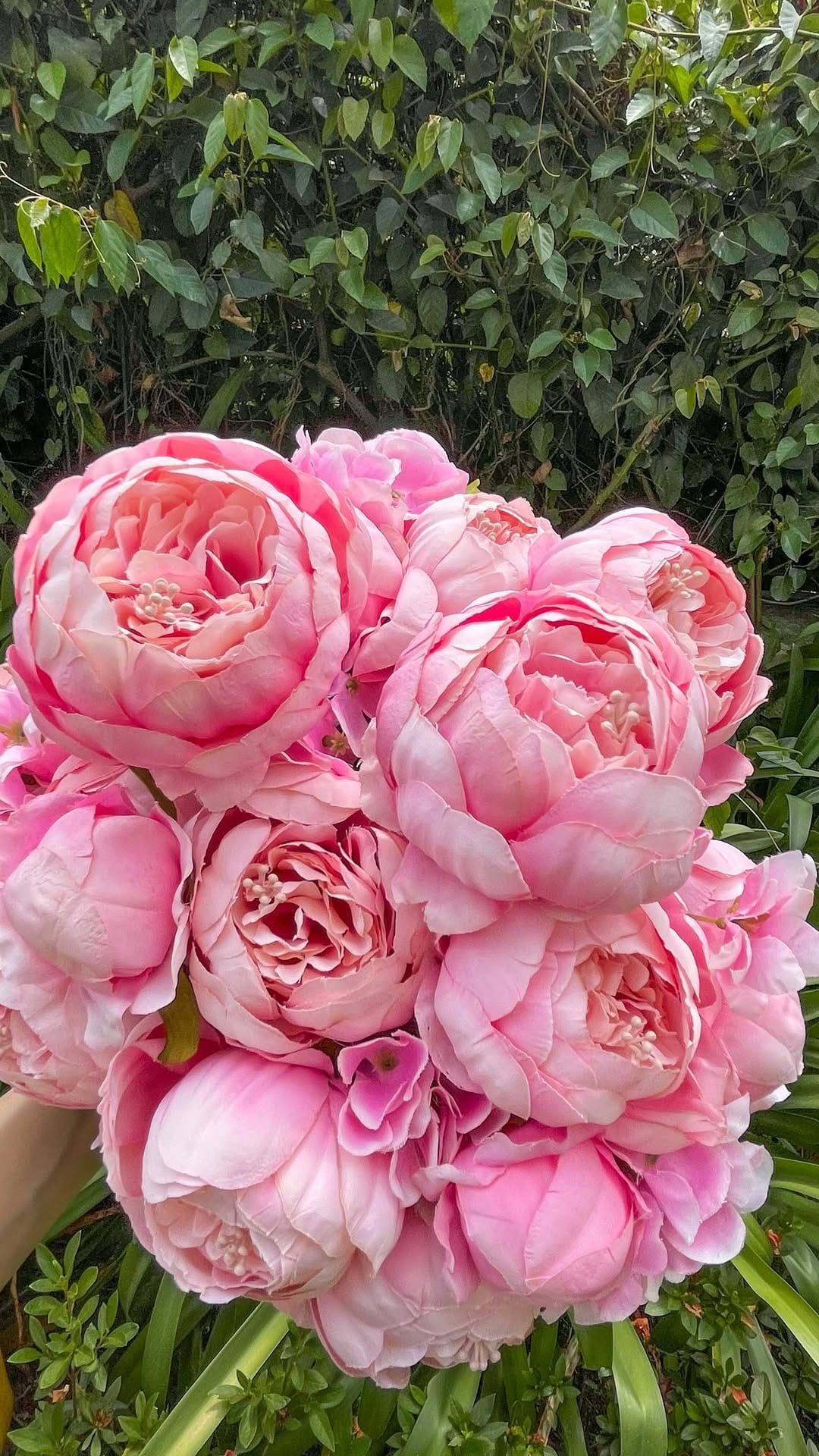 Post 9 by Happy Friday on Instagram (video)