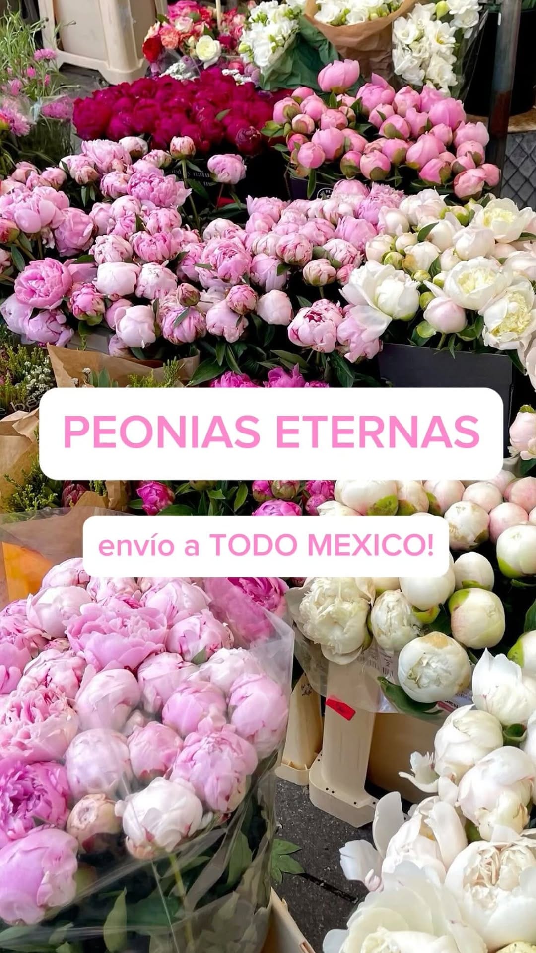 Post 6 by Happy Friday on Instagram (video)