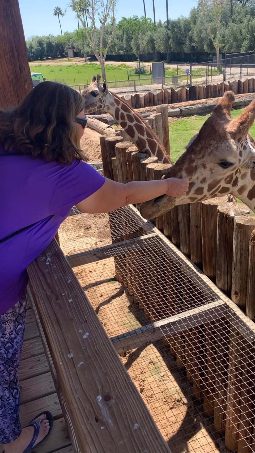 Post 3 by Haley Moore on Instagram (video)
