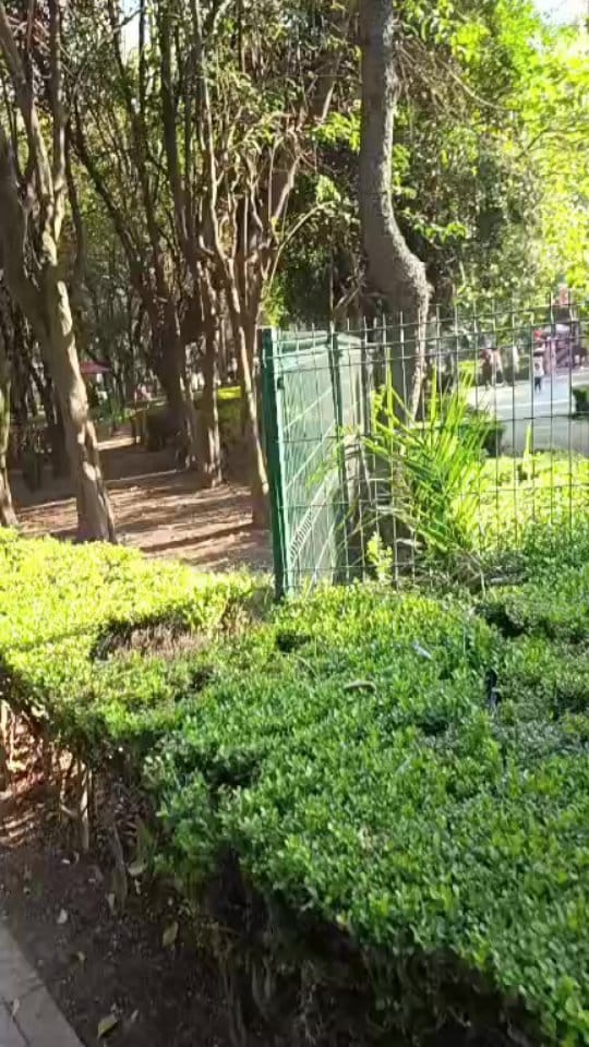 Post 4 by Judith Camberos on Instagram (video)