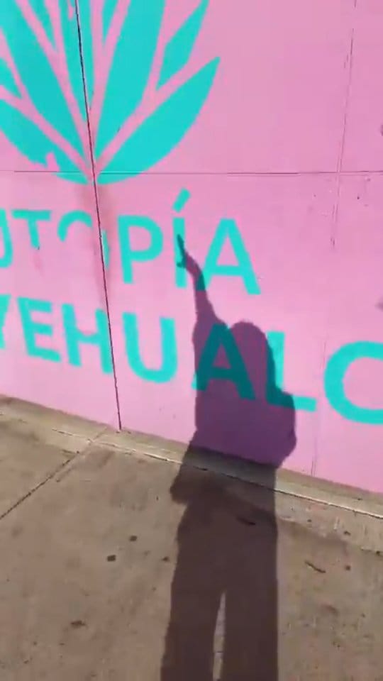 Post 6 by Judith Camberos on Instagram (video)
