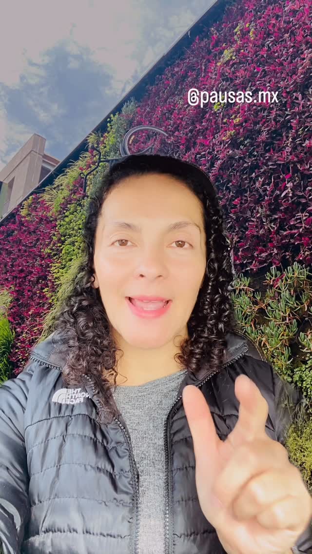 Post 8 by Pausas por Rosa León on Instagram (video)