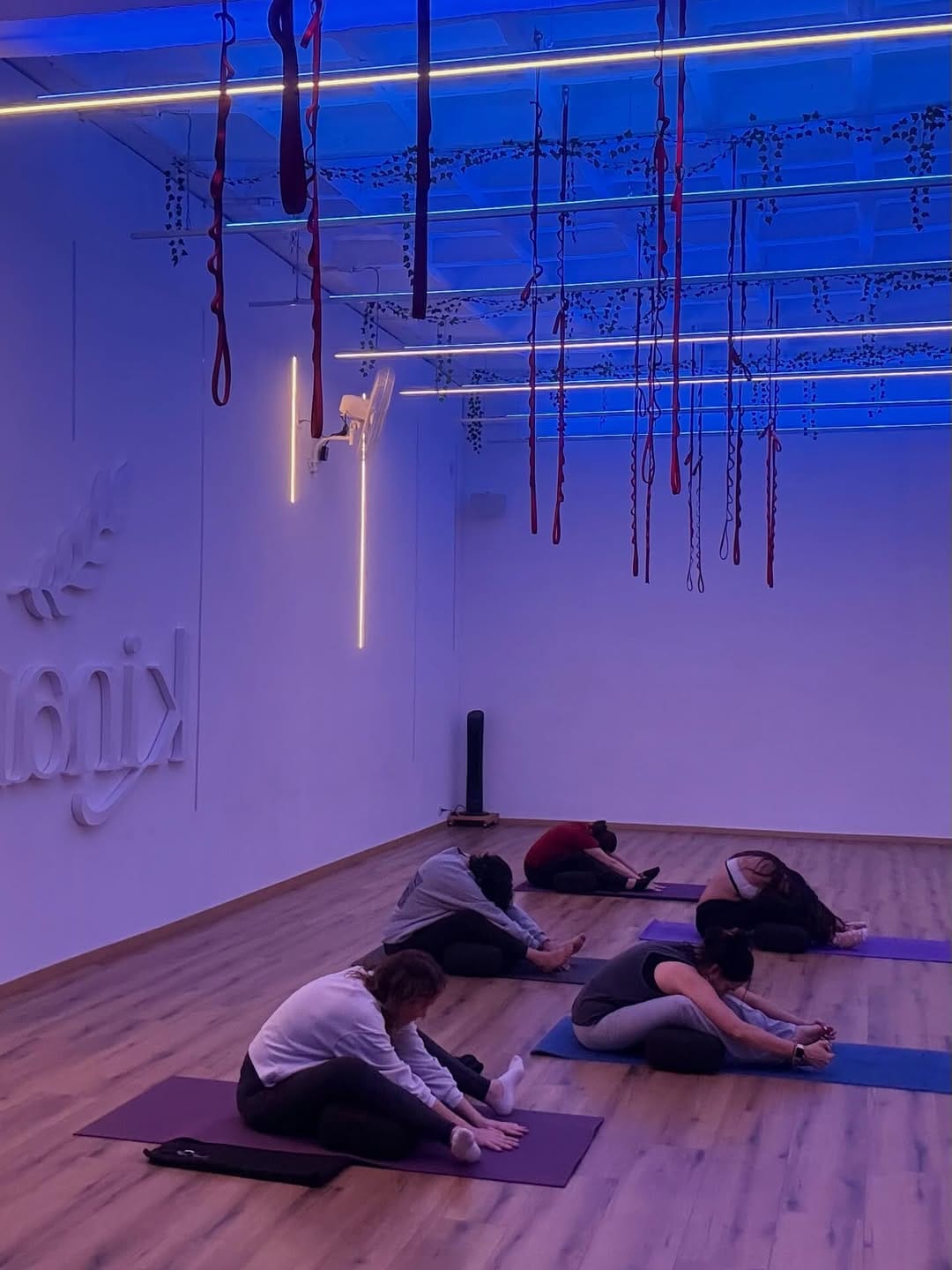 Post 3 by Kinara Yoga Studio Polanco CDMX on Instagram (carousel)