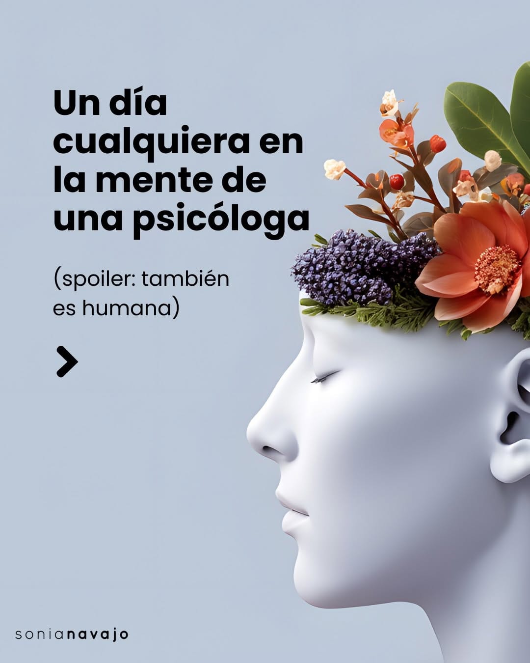 Post 1 by SONIA NAVAJO. AtípicaPsicóloga que Cree en la Evolución Humana on Instagram (carousel)