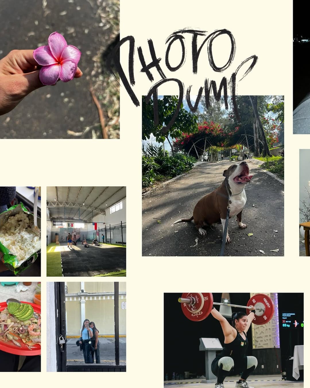 Post 5 by ~Paulina Haro~ on Instagram (carousel)