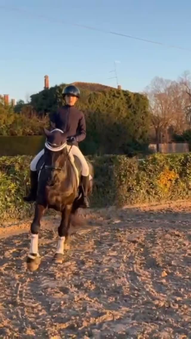 Post 8 by Giorgia De Leonardis on Instagram (video)