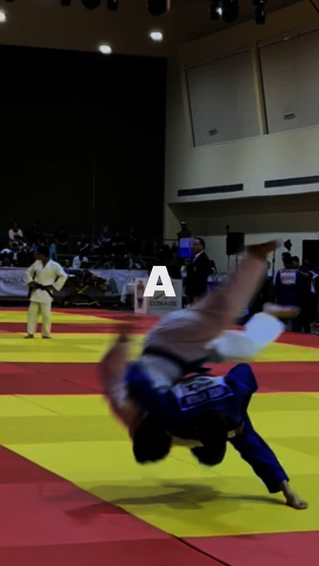 Post 7 by José Icelo on Instagram (video)