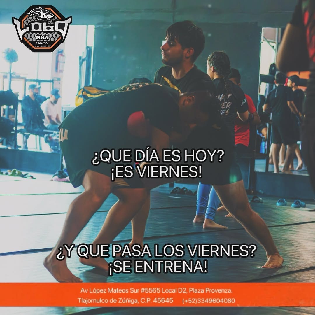 Post 9 by Lobo gym/Francisco Grasso on Instagram (image)
