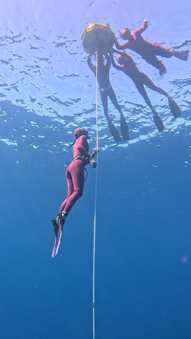 Post 7 by Mar Adentro ~ Freediving & Yoga on Instagram (video)