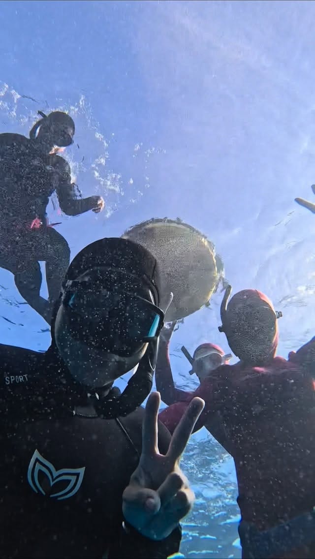 Post 5 by Mar Adentro ~ Freediving & Yoga on Instagram (video)