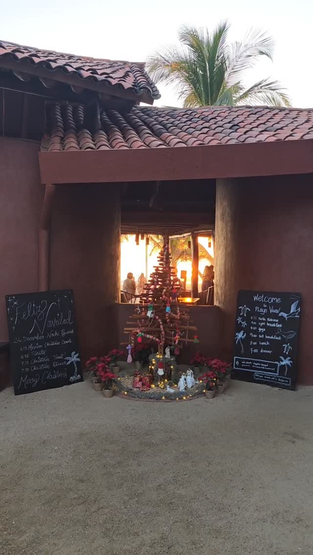 Post 3 by Playa Viva on Instagram (video)