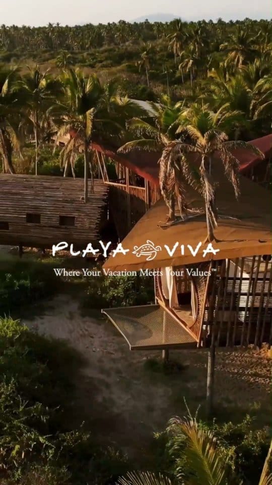Post 9 by Playa Viva on Instagram (video)
