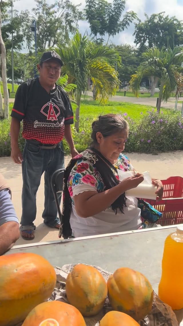 Post 3 by The Green Maya Project on Instagram (video)