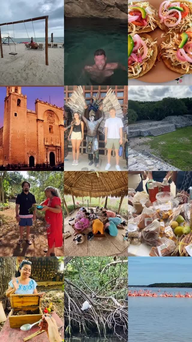 Post 5 by The Green Maya Project on Instagram (video)
