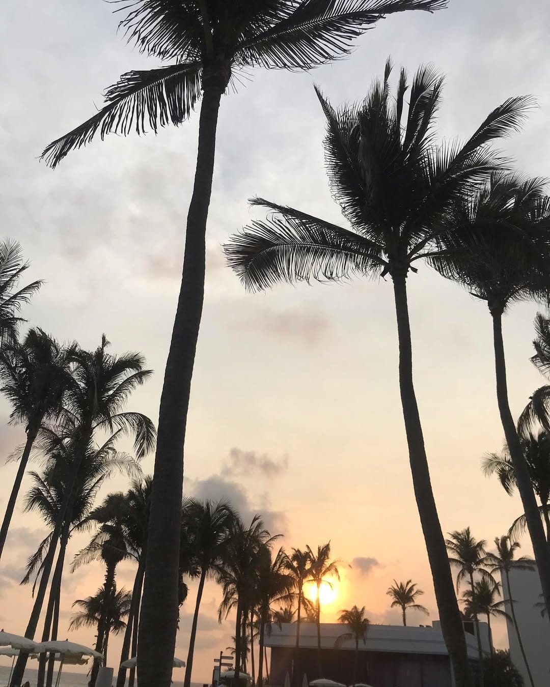 Post 10 by Alexa Rowvn on Instagram (image)