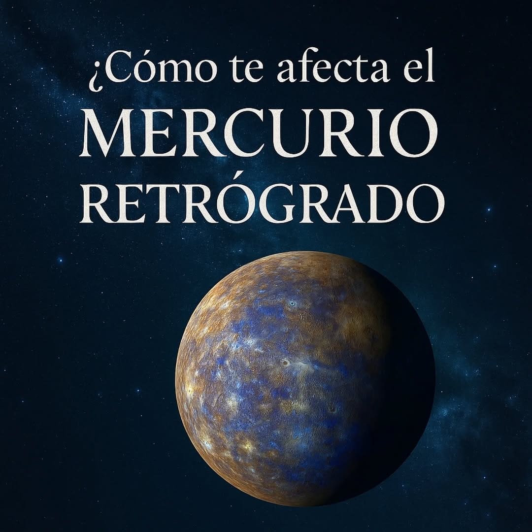 Post 6 by Ricardo Bravo on Instagram (image)