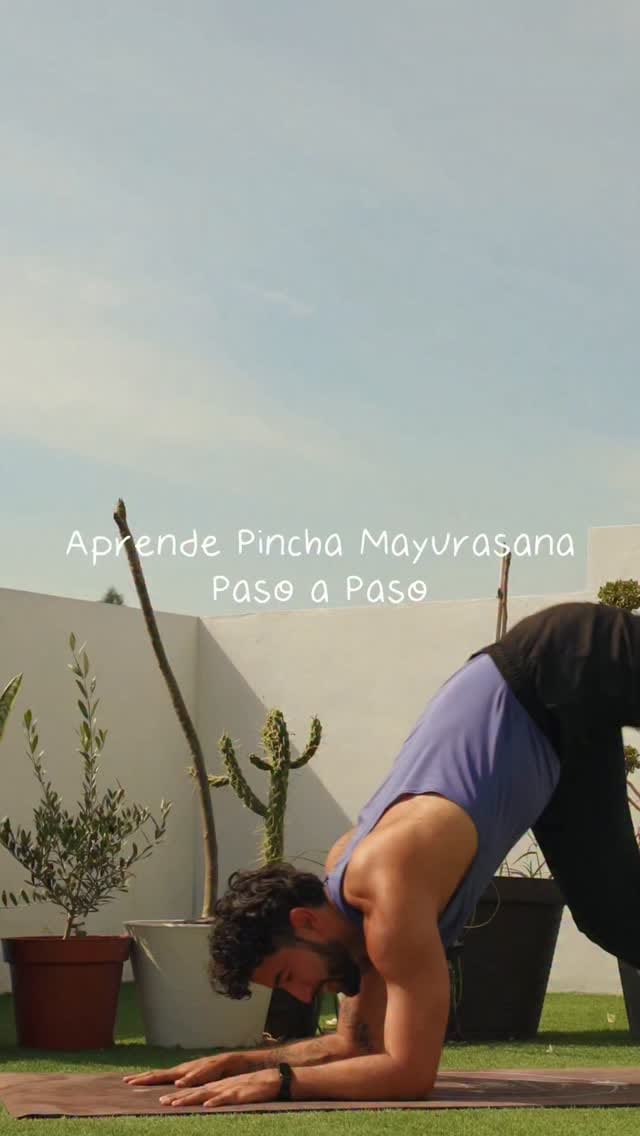 Post 2 by Baruc Acosta | Yoga on Instagram (video)