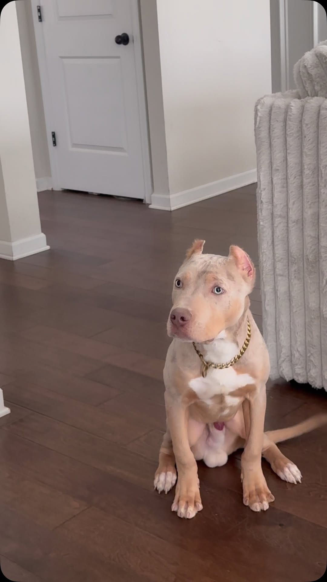 Post 7 by 𝟒𝐭𝐡 & 𝐆𝐨𝐚𝐥 𝐁𝐮𝐥𝐥𝐢𝐞𝐬, 𝐋𝐋𝐂 on Instagram (video)