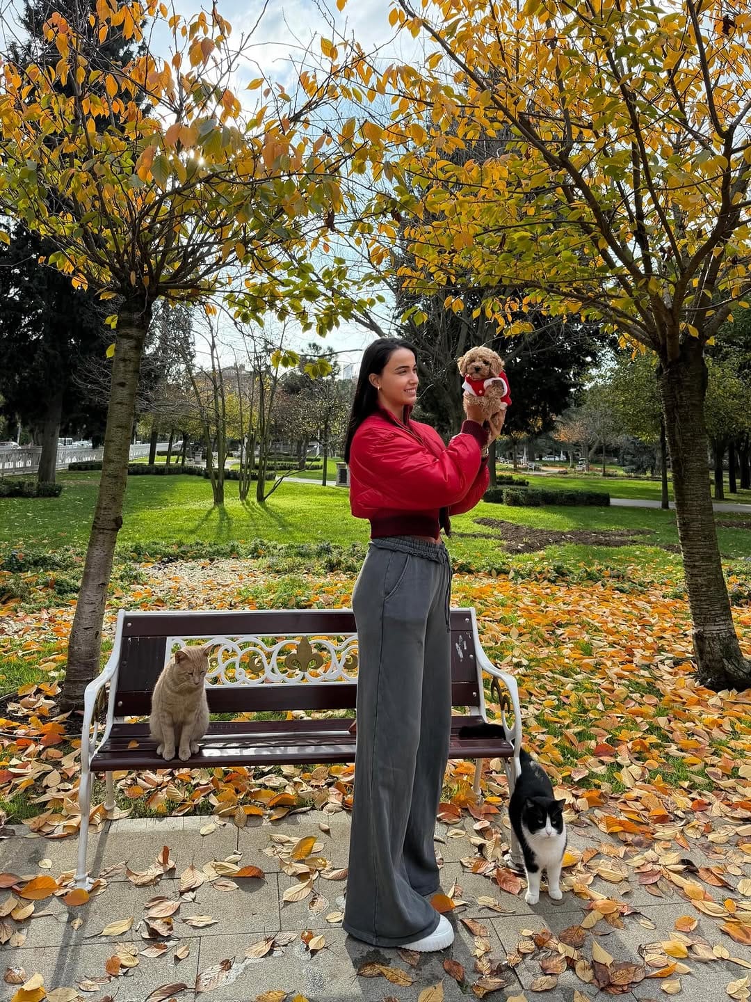 Post 3 by Sibel Demiralp on Instagram (carousel)