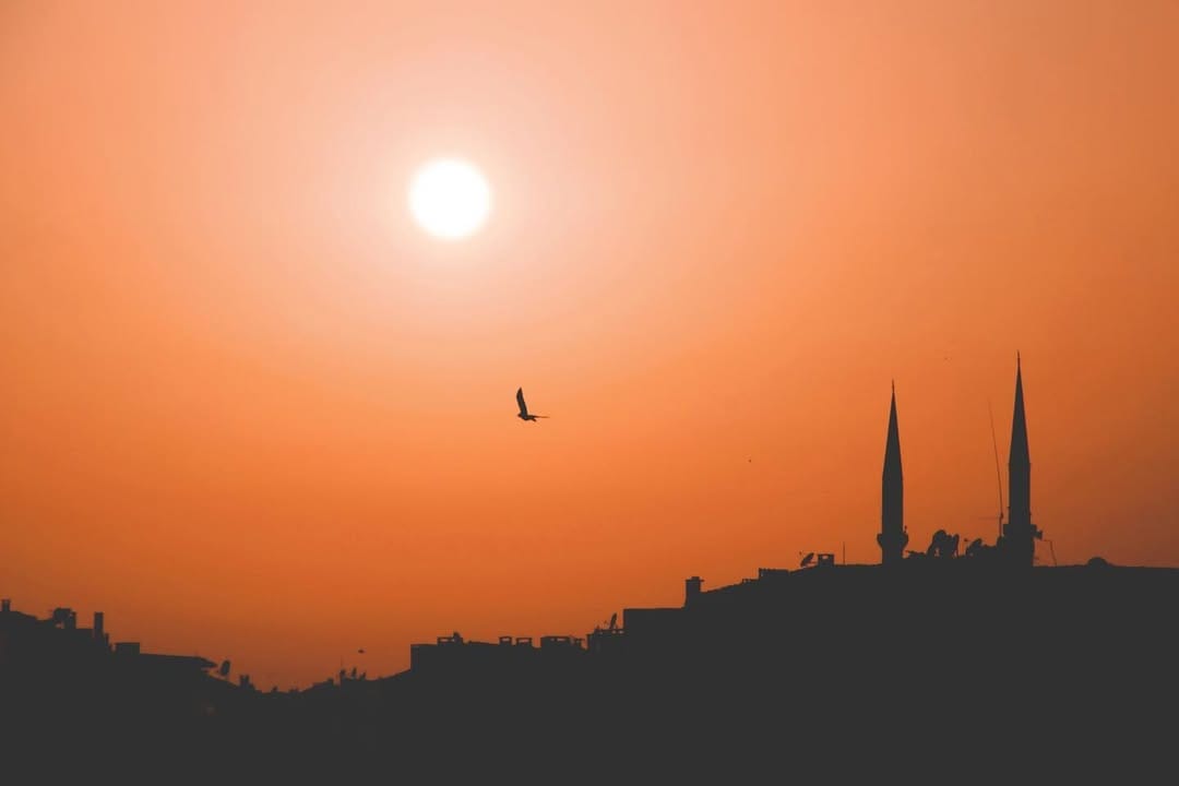 Post 4 by Esra on Instagram (image)
