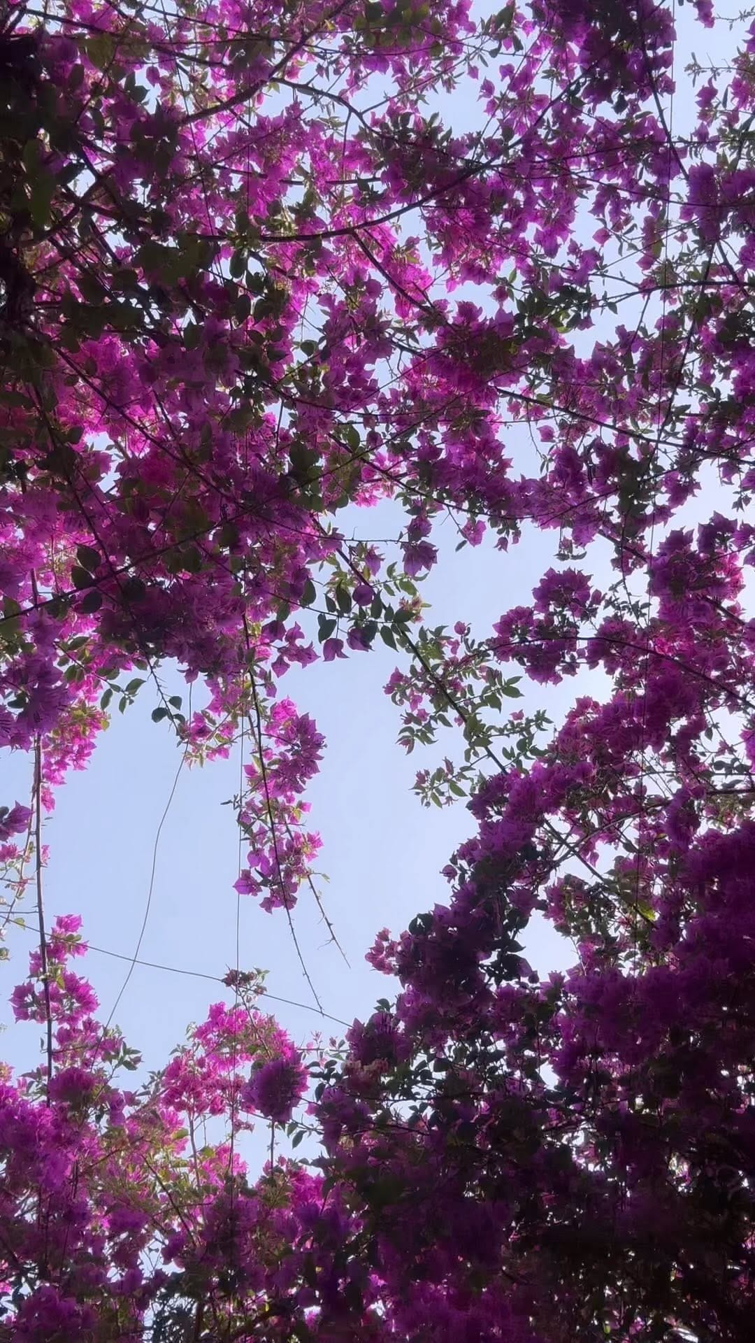 Post 5 by Zeynep Nili on Instagram (video)